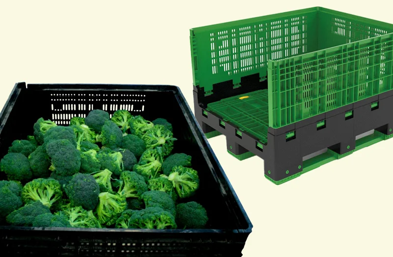 Agromark mejora su ROI y reduce su huella de carbono con los contenedores plegables de Tosca