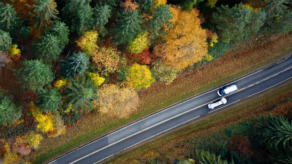 El Parlamento Europeo pospone la entrada en vigor del futuro Reglamento de Deforestación
